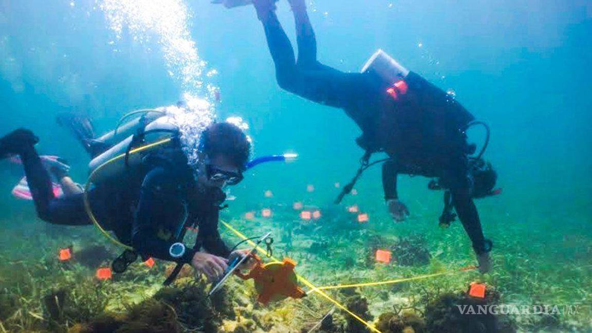 $!Entre los asuntos que sólo lograron resolverse a última hora, cómo compartir los beneficios del mar, especialmente todo lo relativo a los recursos genéticos marinos -especies que pueden proporcionar genes patentables en el futuro