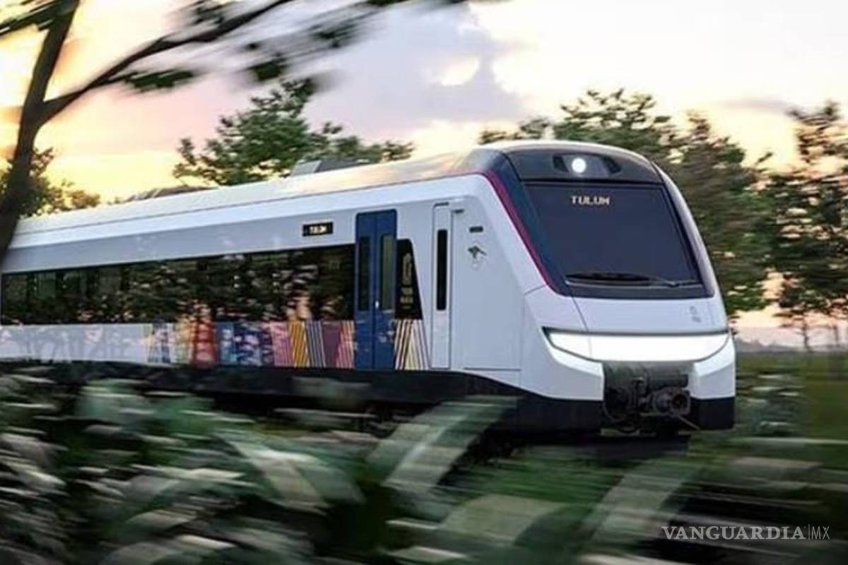 Revelan fallas en manejo de flora y fauna en Tren Maya