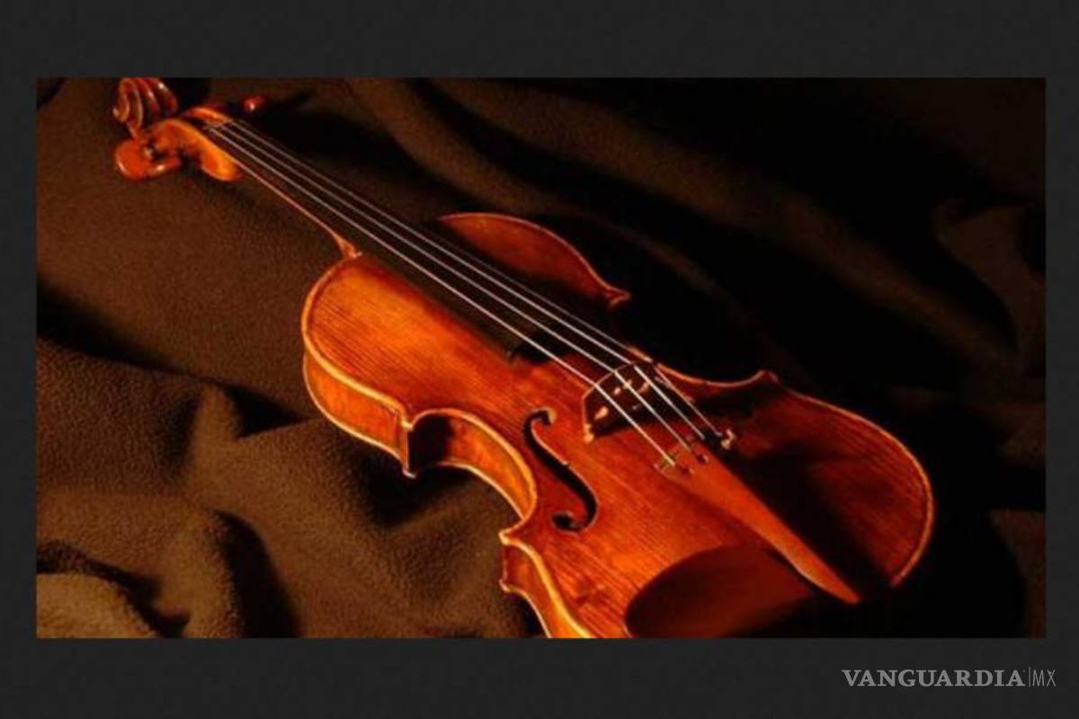 Ladrón devuelve violín robado en tren en Múnich