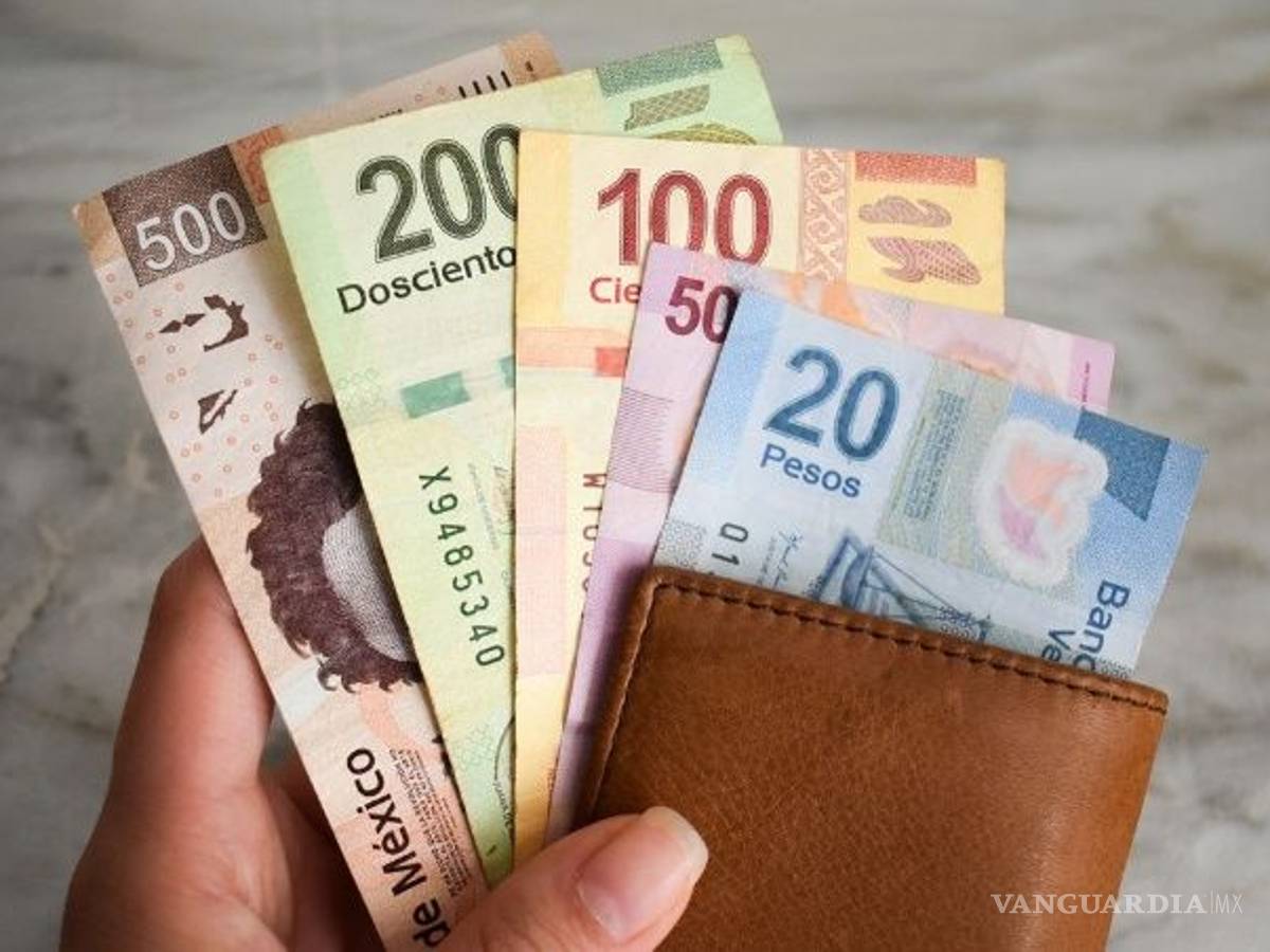 $!Morena propone que el salario mínimo sea establecido por estudios del Coneval