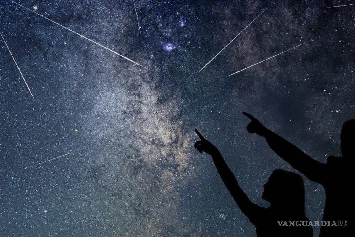 ¿Cuándo es la lluvia de meteoros Leónidas 2022 y cómo verla?
