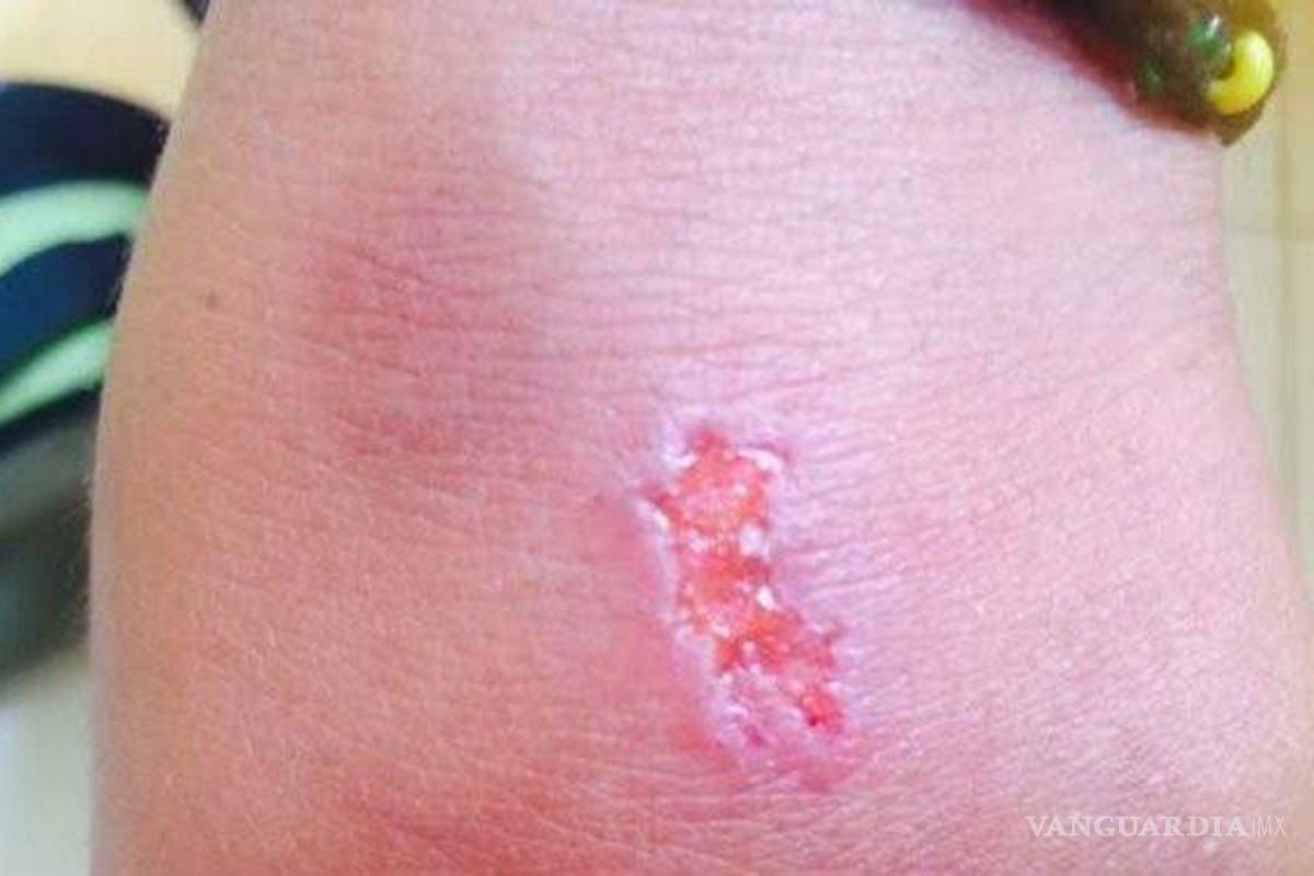 'El Abecedario del Diablo'... el peligroso reto viral que crece en las escuelas