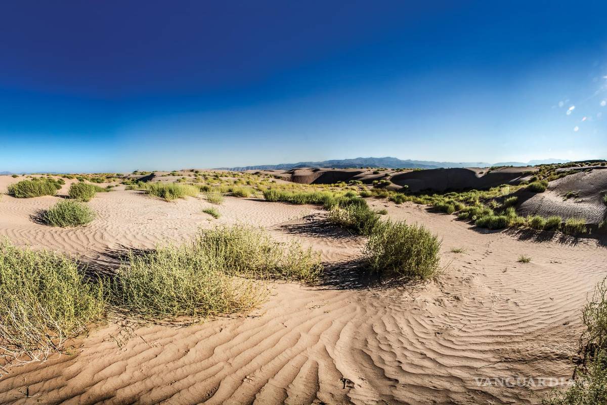 Espera Coahuila un millón de visitantes en vacaciones de verano