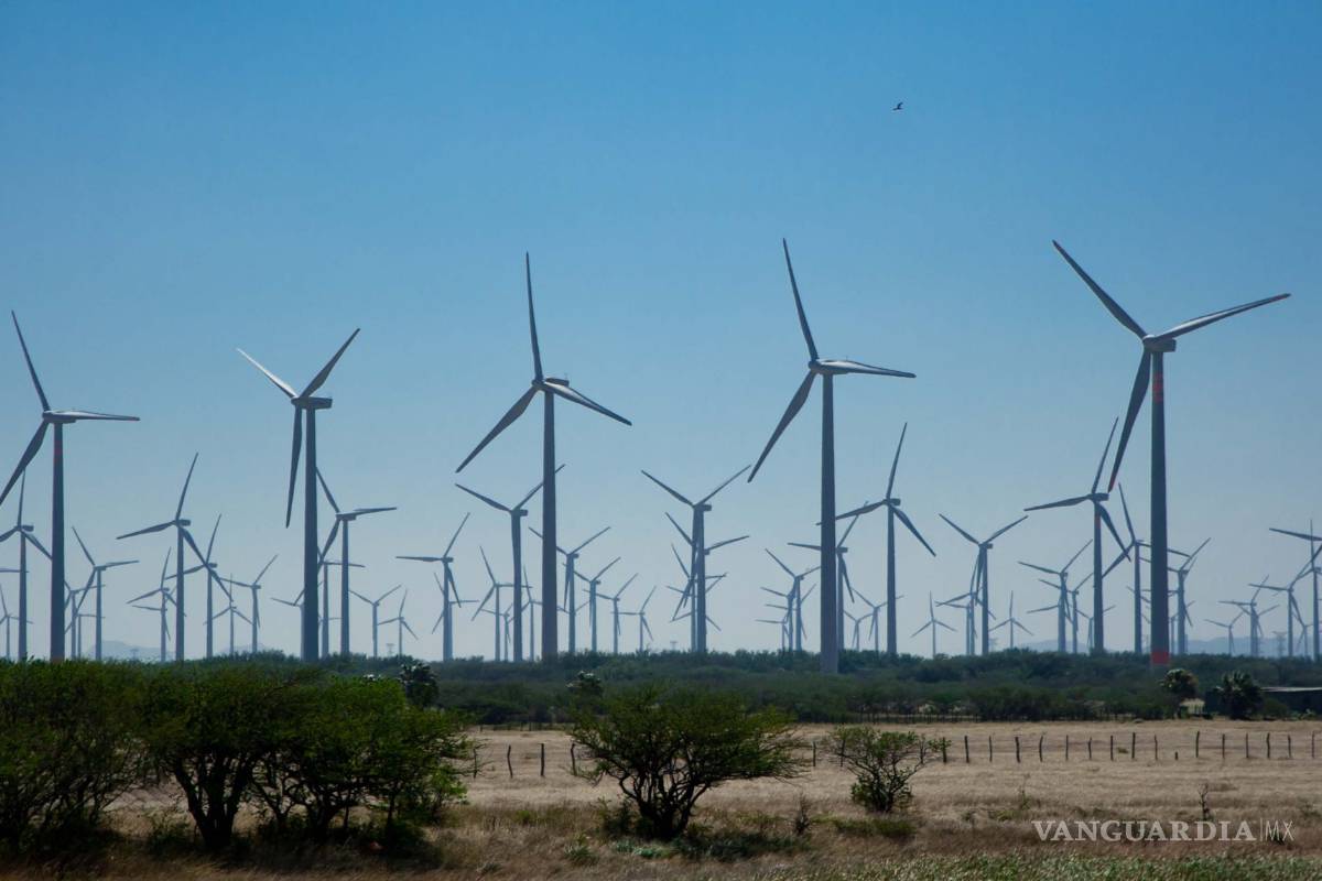 Proyectan parque eólico en 6 mil hectáreas de Zaragoza y Piedras Negras