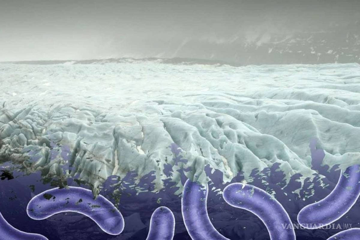 Cambio Climático 'descongelará' nuevos virus, advierten