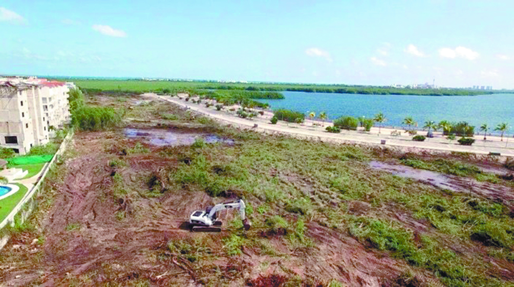En riesgo, plan para parque por desmonte en Tajamar