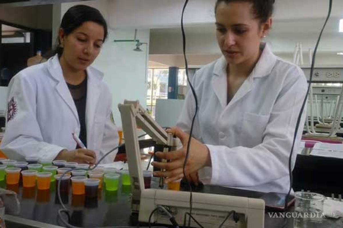 Crean bebida hidratante para deportistas a base de agave