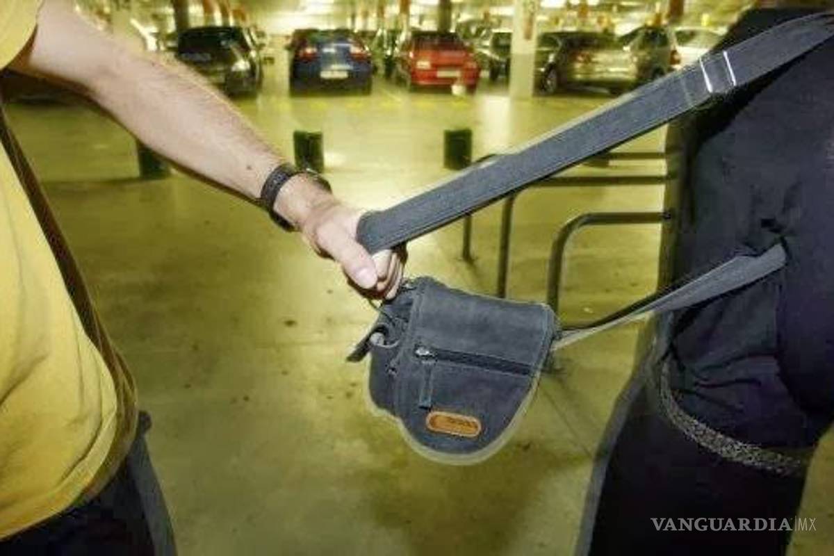 Le arrebata bolso, echa a correr y lo atrapan
