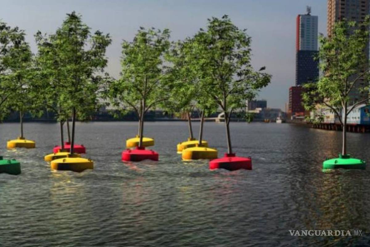 Plantan el primer &quot;bosque flotante&quot; en las aguas del puerto de Rotterdam