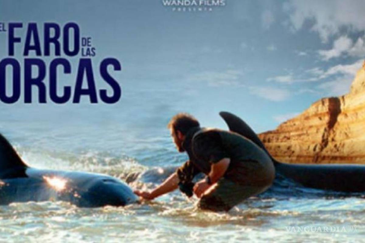 Distribuirá Netflix en el mundo "El faro de las orcas" de Gerardo Olivares