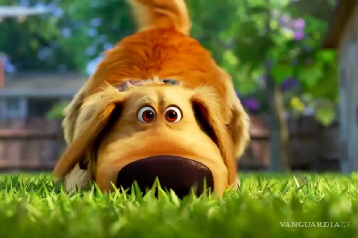 Dug Days, el spin-off de Up y otras dos nuevas series próximamente en Disney +