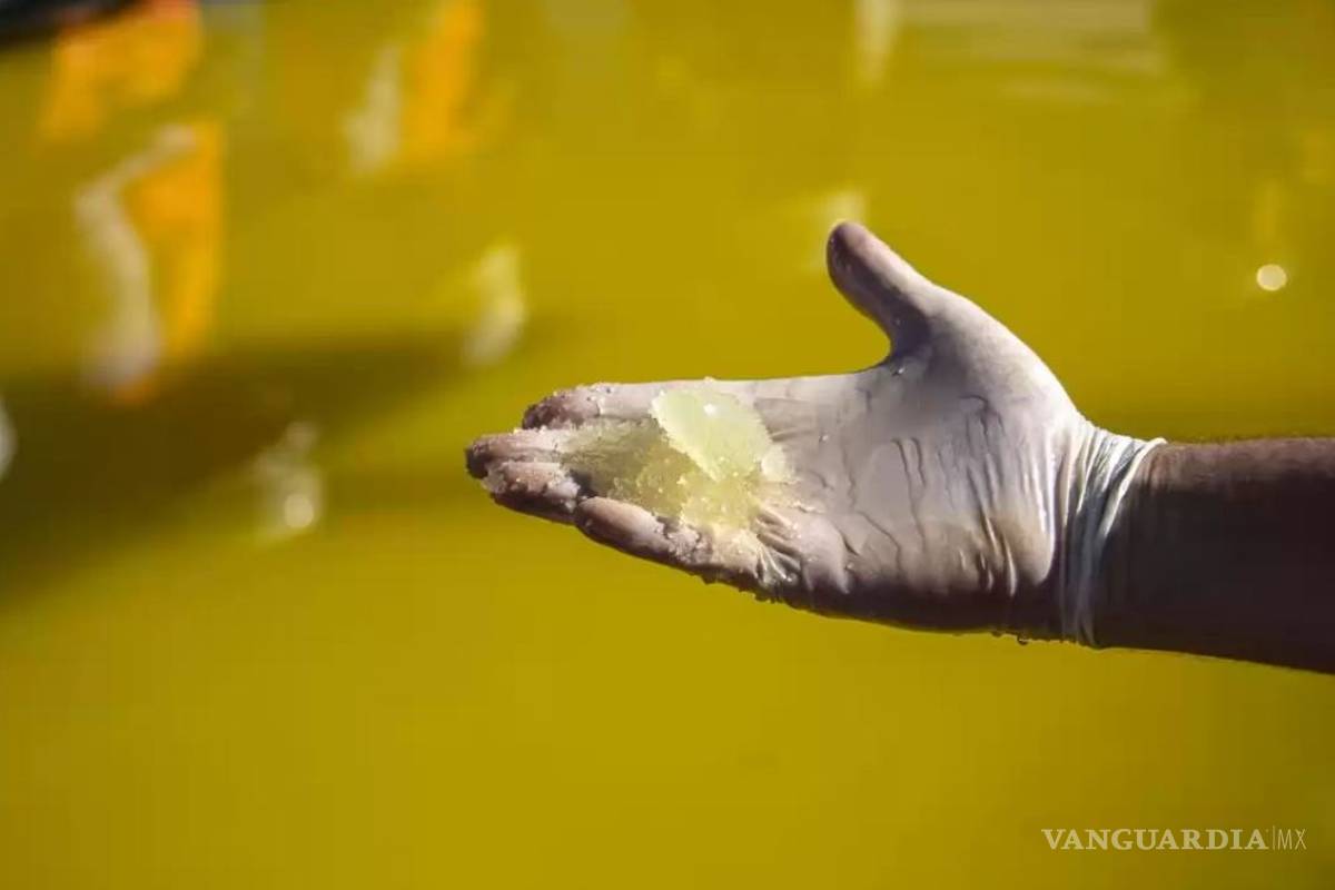 Estos son los 10 proyectos más grandes de litio del mundo... y el 'rey' está en Sonora