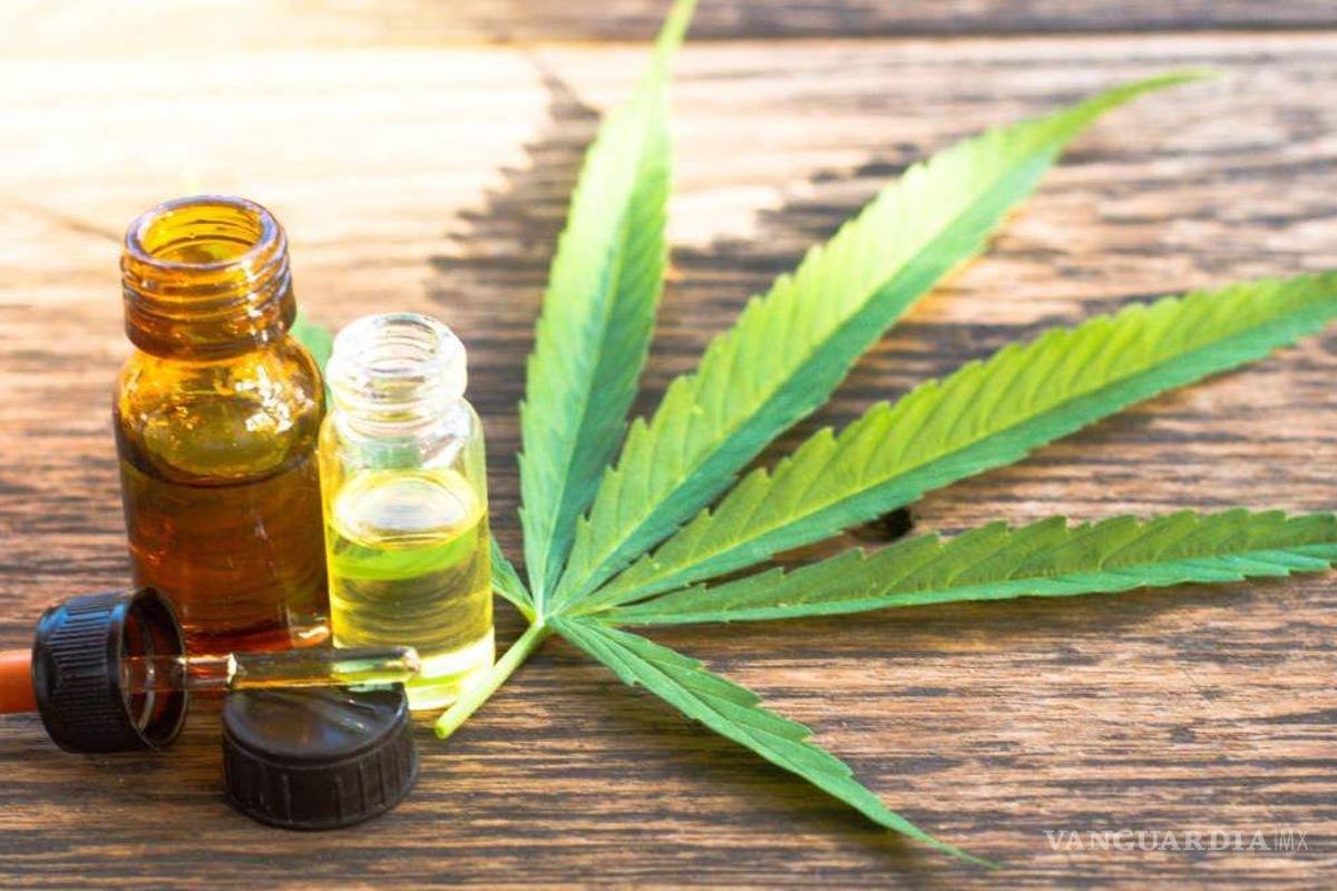 Aumentó 17 por ciento el mercado de cannabis medicinal