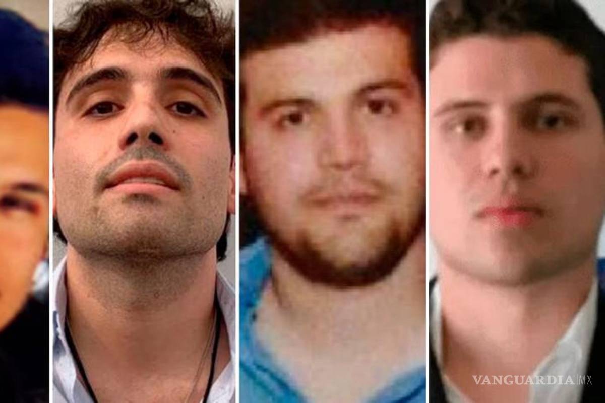 Dan permisos a empresas ligadas a Los Chapitos