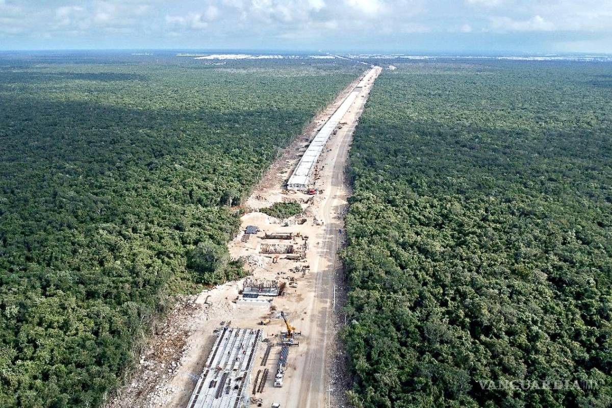 Activistas exhiben cuarteaduras en pilotes del Tramo 5 del Tren Maya