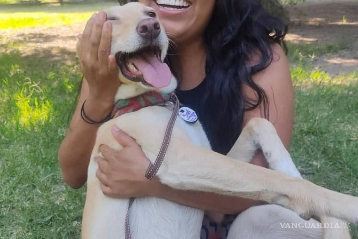 ‘Es muy consentida, desayuna huevito, atún y pollo’: joven de Saltillo busca a su perrita Sol