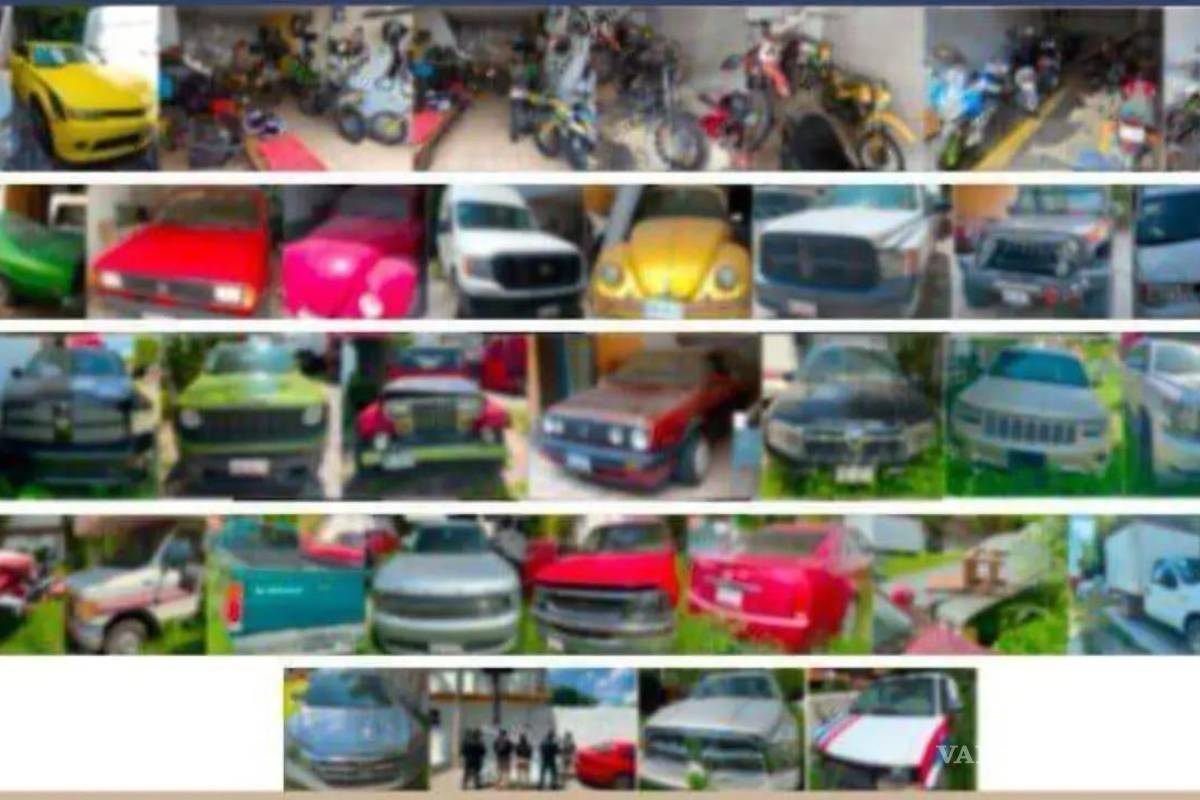 Aseguran en Puebla 50 vehículos robados