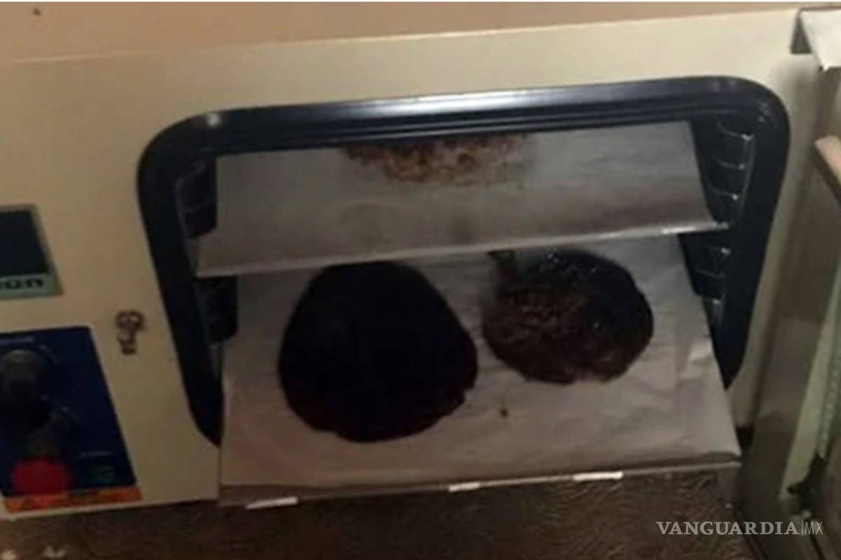 $!'Narco repostería', fábrica de armas, maestros colombianos y demás estrategias que utiliza el Cartel Jalisco Nueva Generación