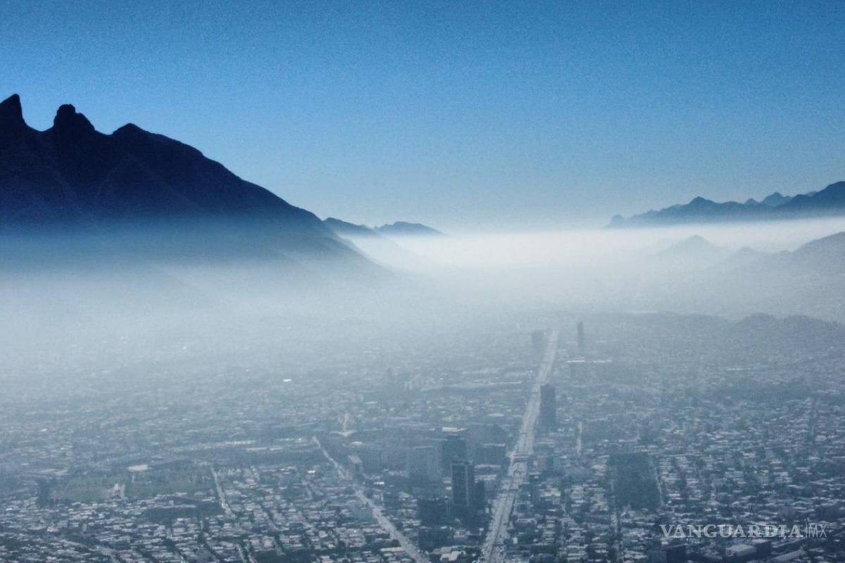 Vinculan aire sucio con más alergias en NL