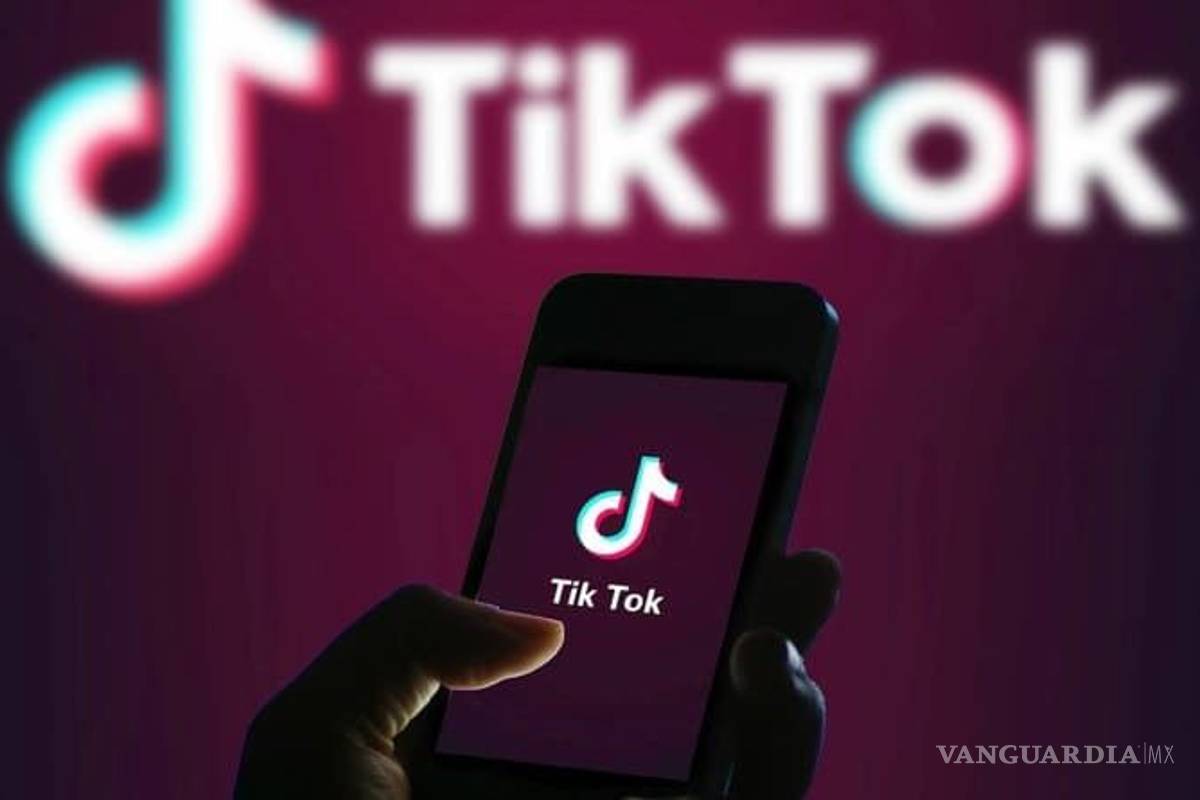 TikTok pone a competir a Twitter y Microsoft por venta