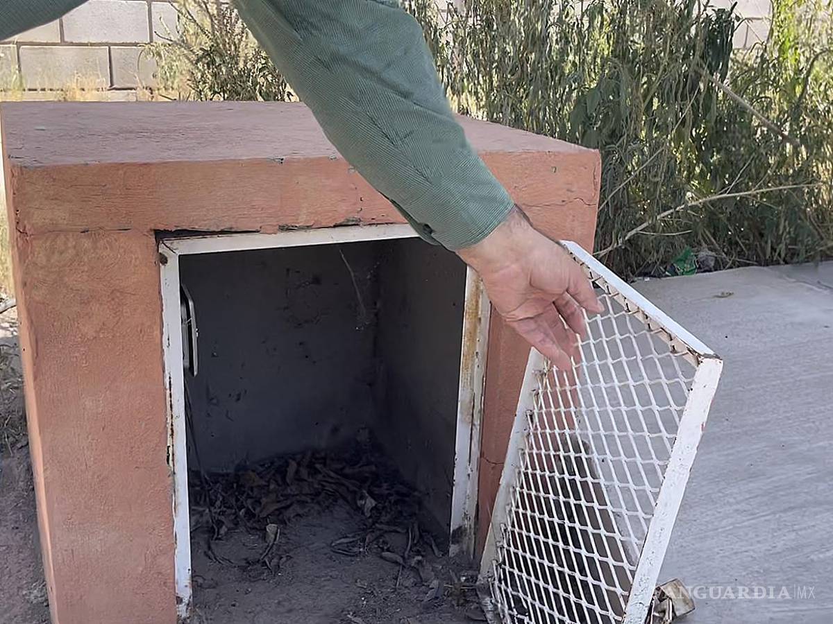 $!Regreso a clases 2021: una decisión apresurada