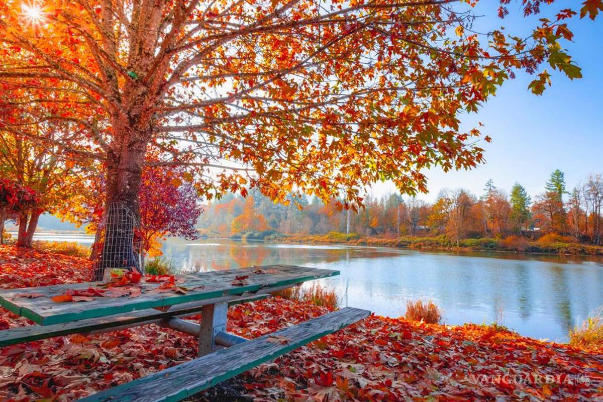 Lo que le espera, bueno y malo, a tu signo zodiacal en septiembre de 2022