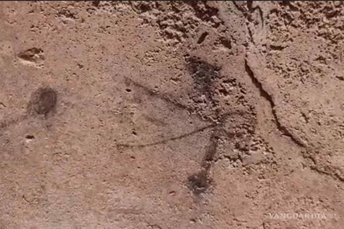 $!Descubren dibujos hechos por niños en las ruinas de Pompeya