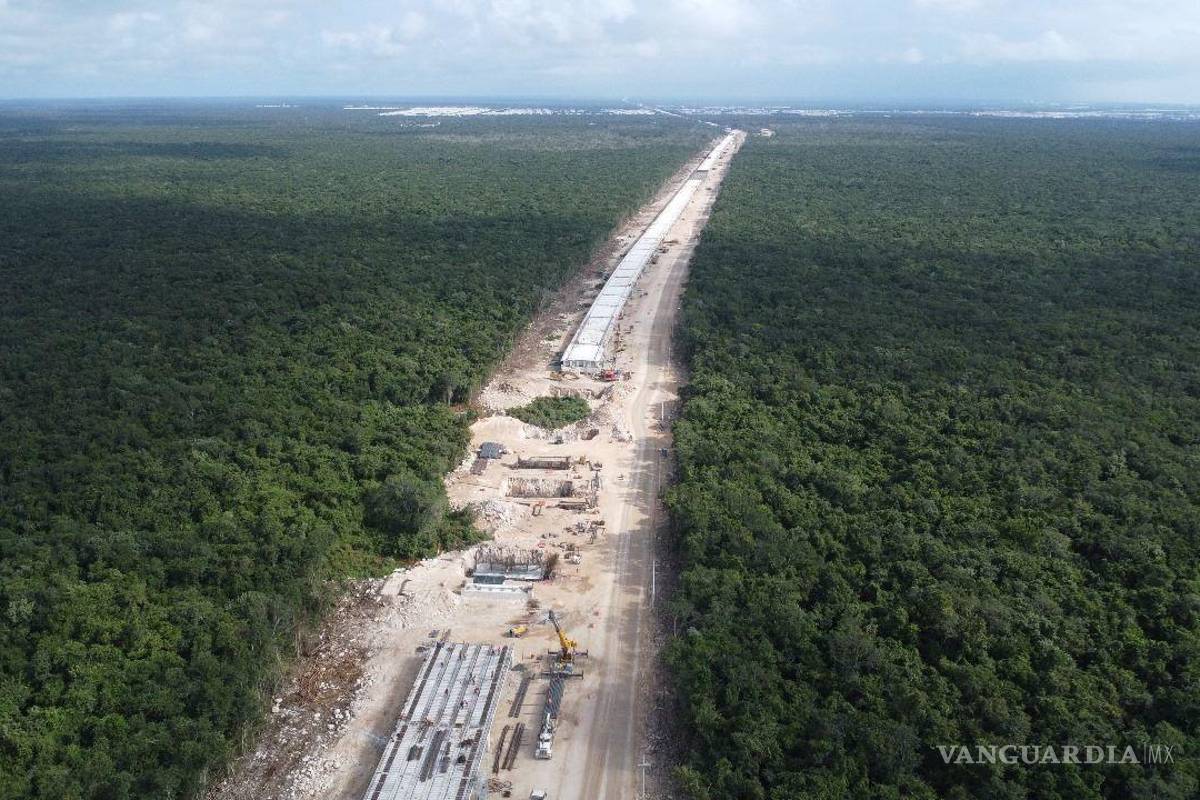 Empresa favorecida en sexenio de AMLO gana contrato por 3 mil 650 mdd