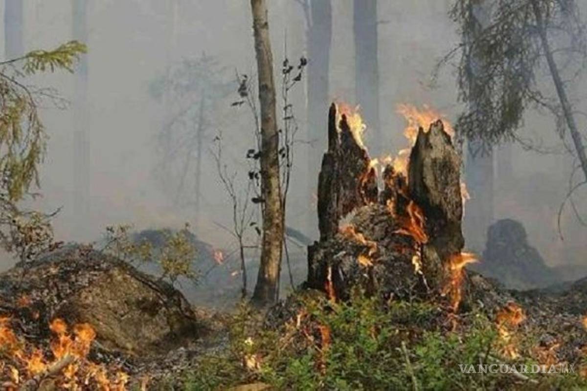 Tres semanas después comienza Brasil a apagar el fuego en el Amazonas