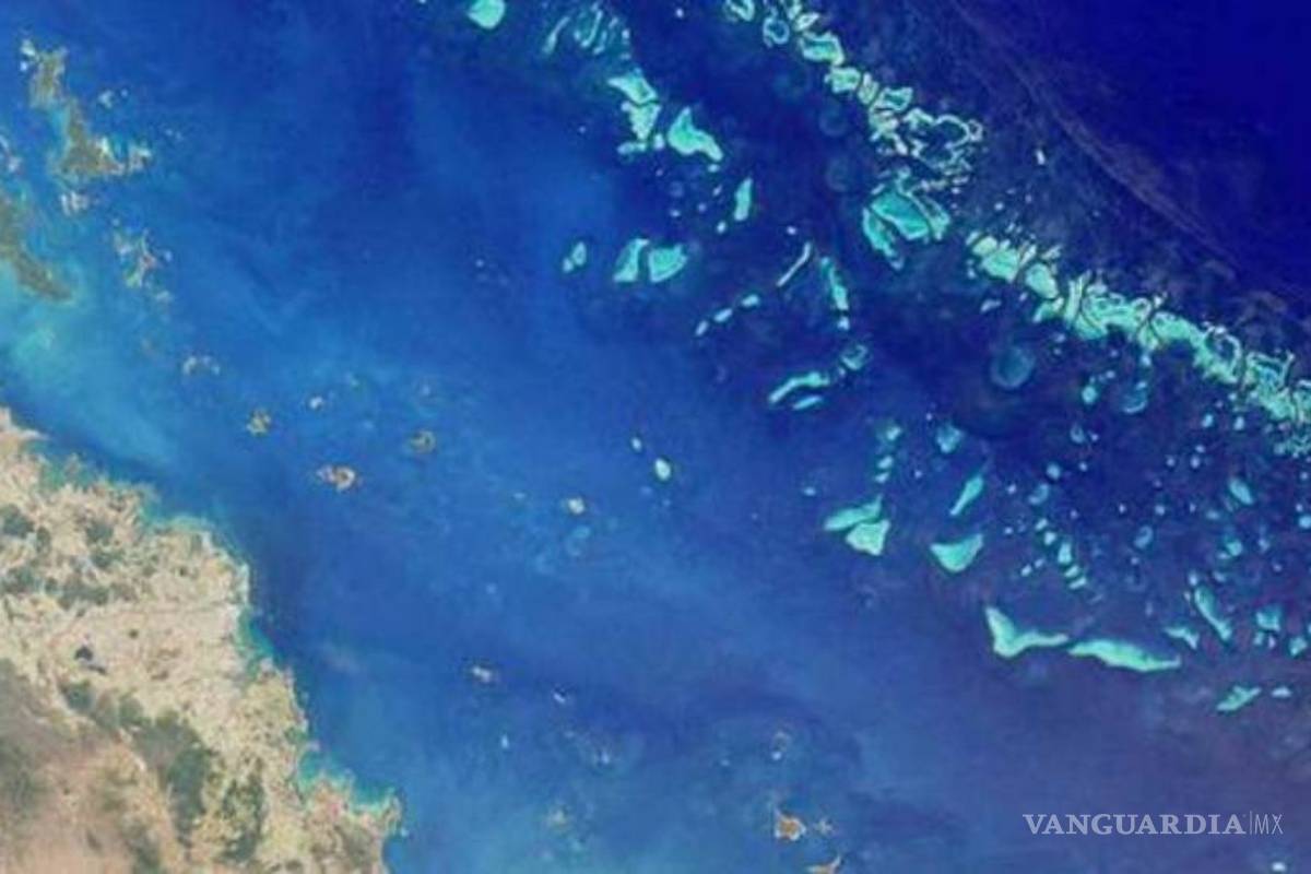 Descubren nuevo gran arrecife detrás de la Gran Barrera de Coral