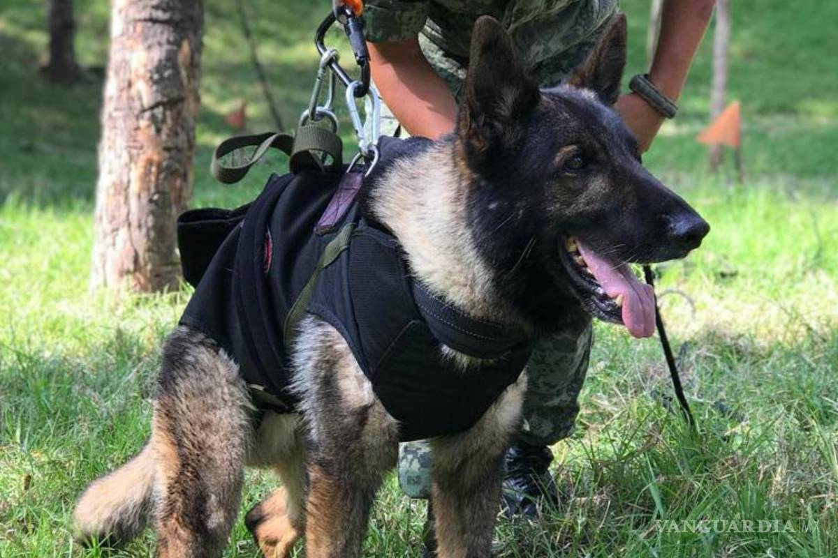 ‘Como un héroe te nos fuiste’; componen corrido en memoria de Proteo