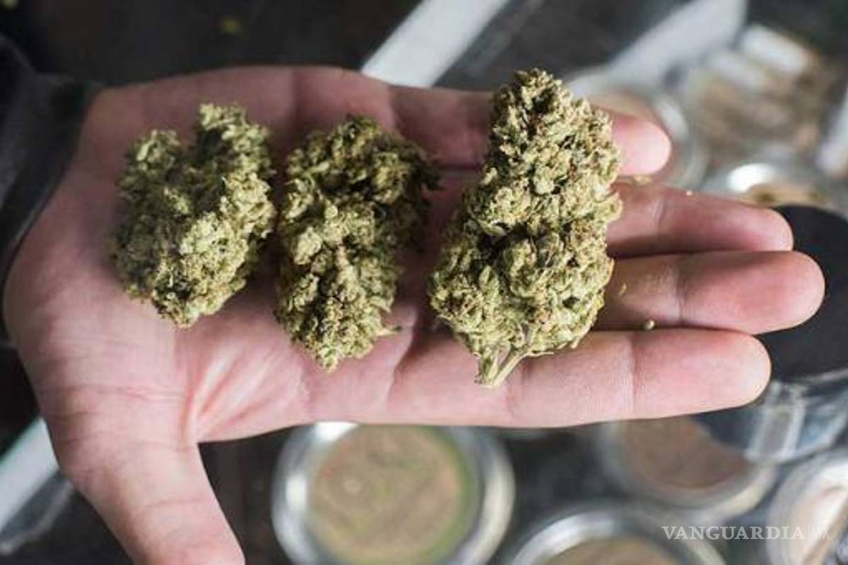 Empresas canadienses buscan vender marihuana en México