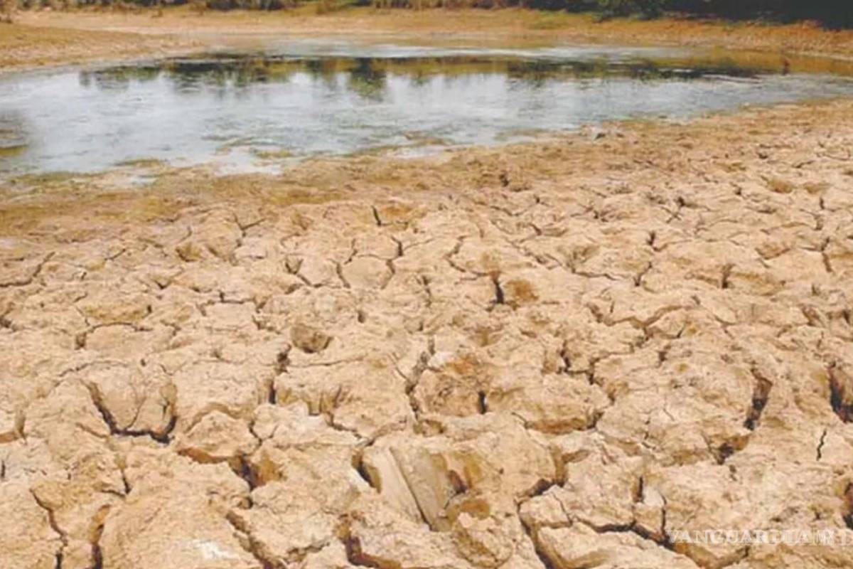 Sequía en México: ¿cómo prevenir la escasez de agua en 2025?