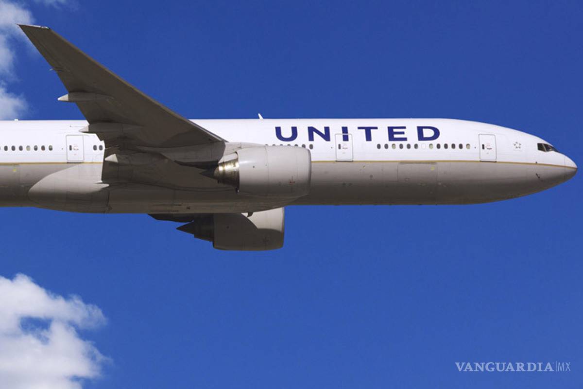 Escorpión pica a pasajero durante vuelo de United Airlines