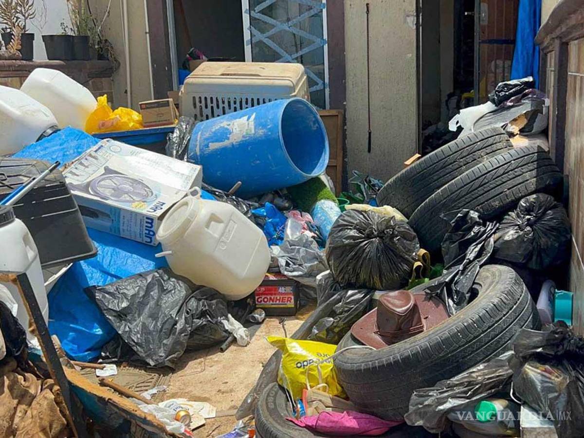 $!Encontraron 30 perros muertos en un ‘refugio’ de Cancún