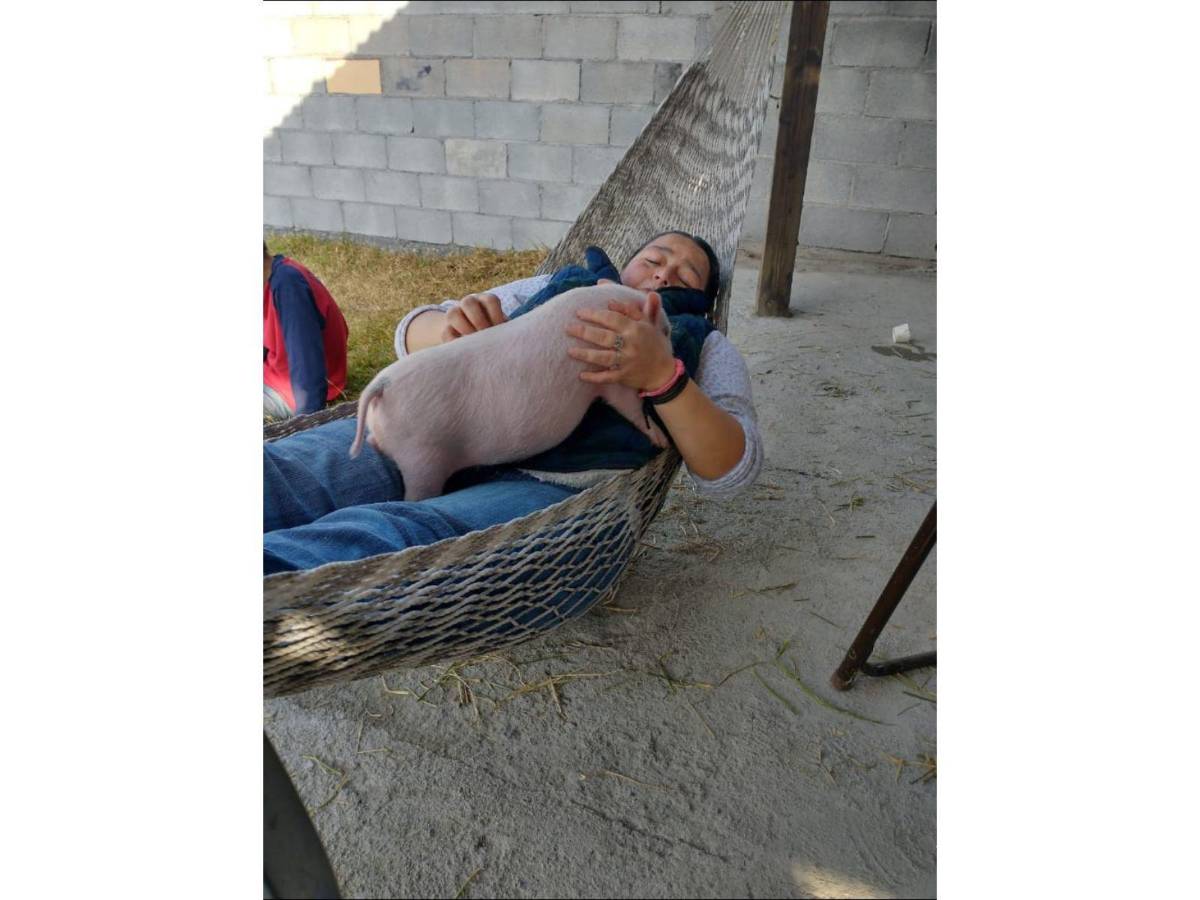 $!Esta no es la primera vez que Bruno “hace de las suyas”.