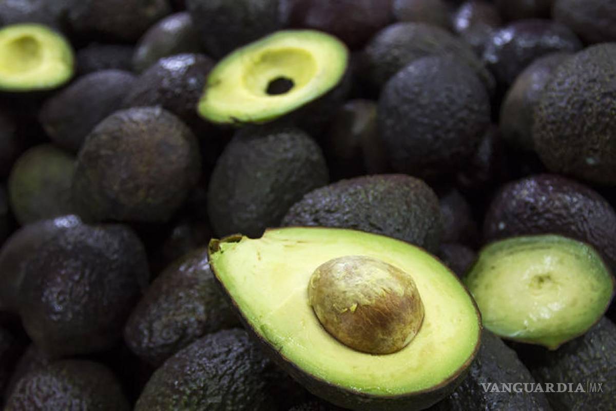 Súper Tazón 'lleno' de guacamole, llegarán 120 mil toneladas de aguacate a EU