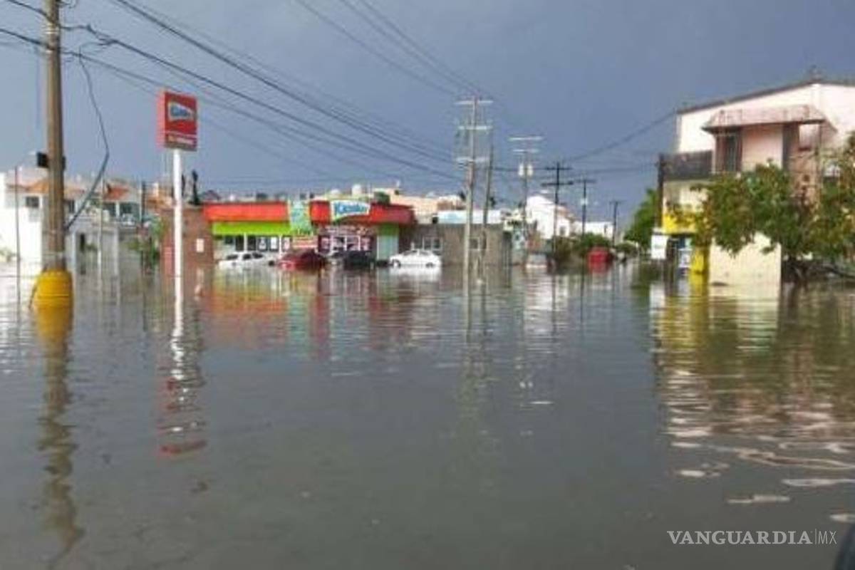 "Jova" deja inundaciones y caída de árboles en Mazatlán