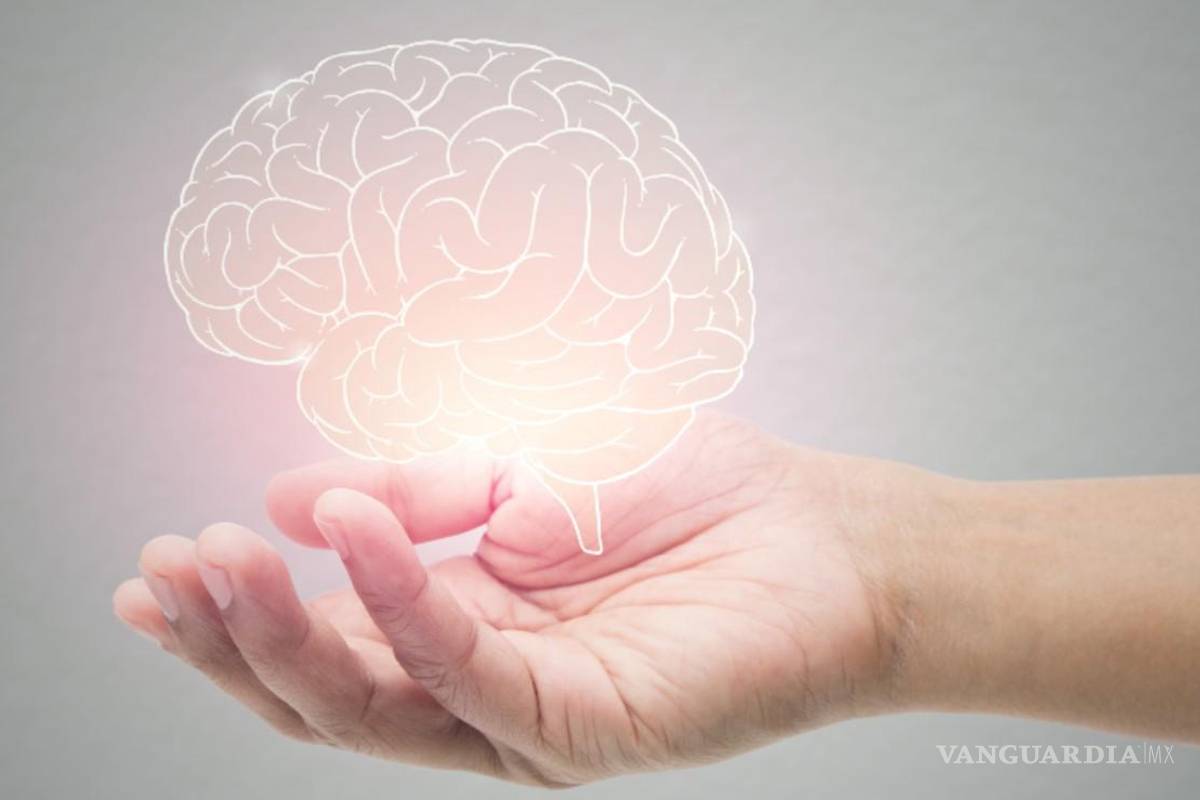 Desarrollan iniciativa para destinar más recursos a atención de la salud mental