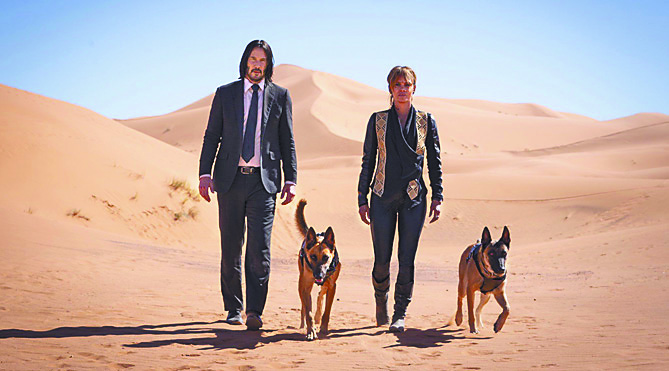 Acción, violencia y muchos perros