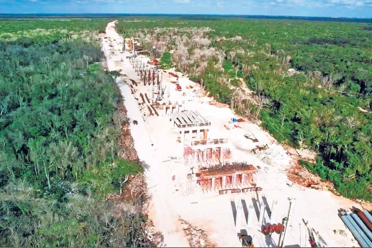 México está cometiendo un ecocidio y un etnocidio por la construcción del Tren Maya, según informe