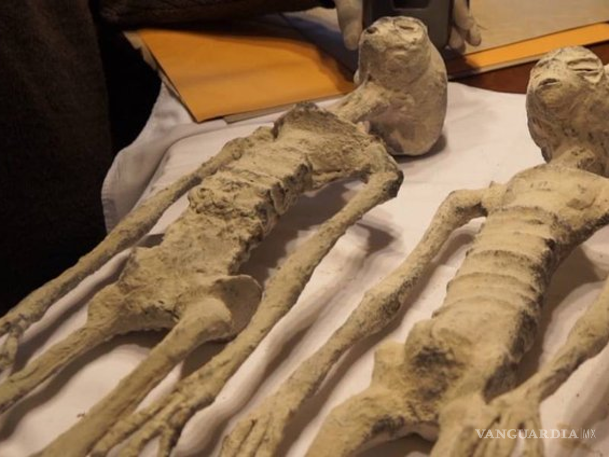 $!Maussan no respondió de inmediato a una solicitud de comentarios