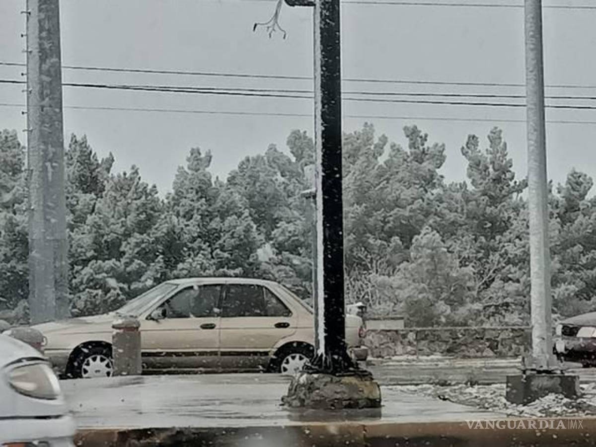 $!La nevada sorprendió a los chihuahuenses, pues según los internautas solo se había hablado de caída de “aguanieve”.