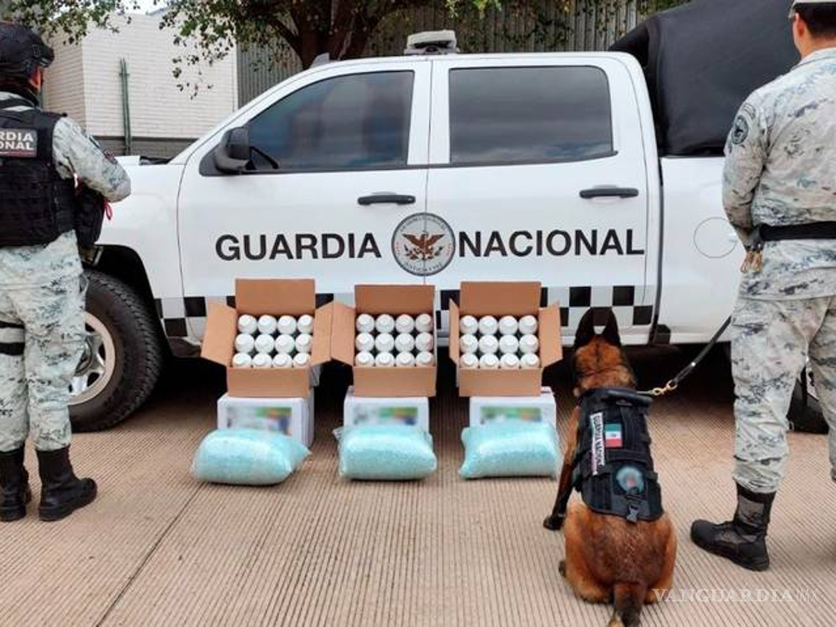 $!Escondieron más de 600 mil pastillas de fentanilo en botes de proteína, en Sinaloa