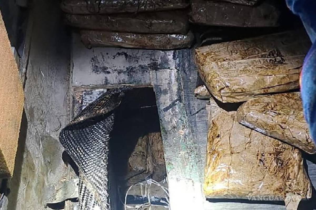 Detienen a 2 con heroína y fentanilo en Sonora