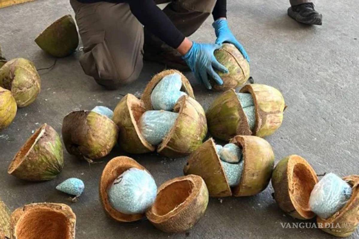 Decomisan 300 kilos de fentanilo ocultos en cocos, en frontera de México-EU
