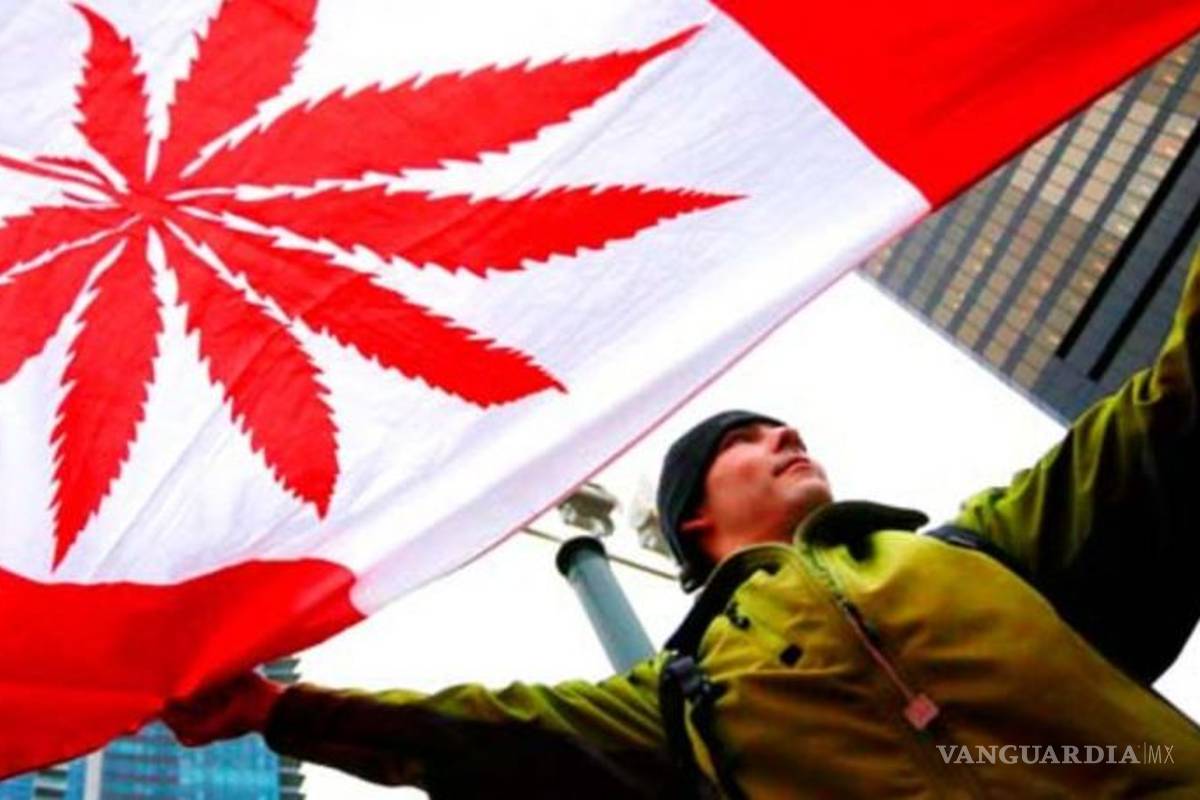 Senado de Canadá aprueba la legalización de la mariguana