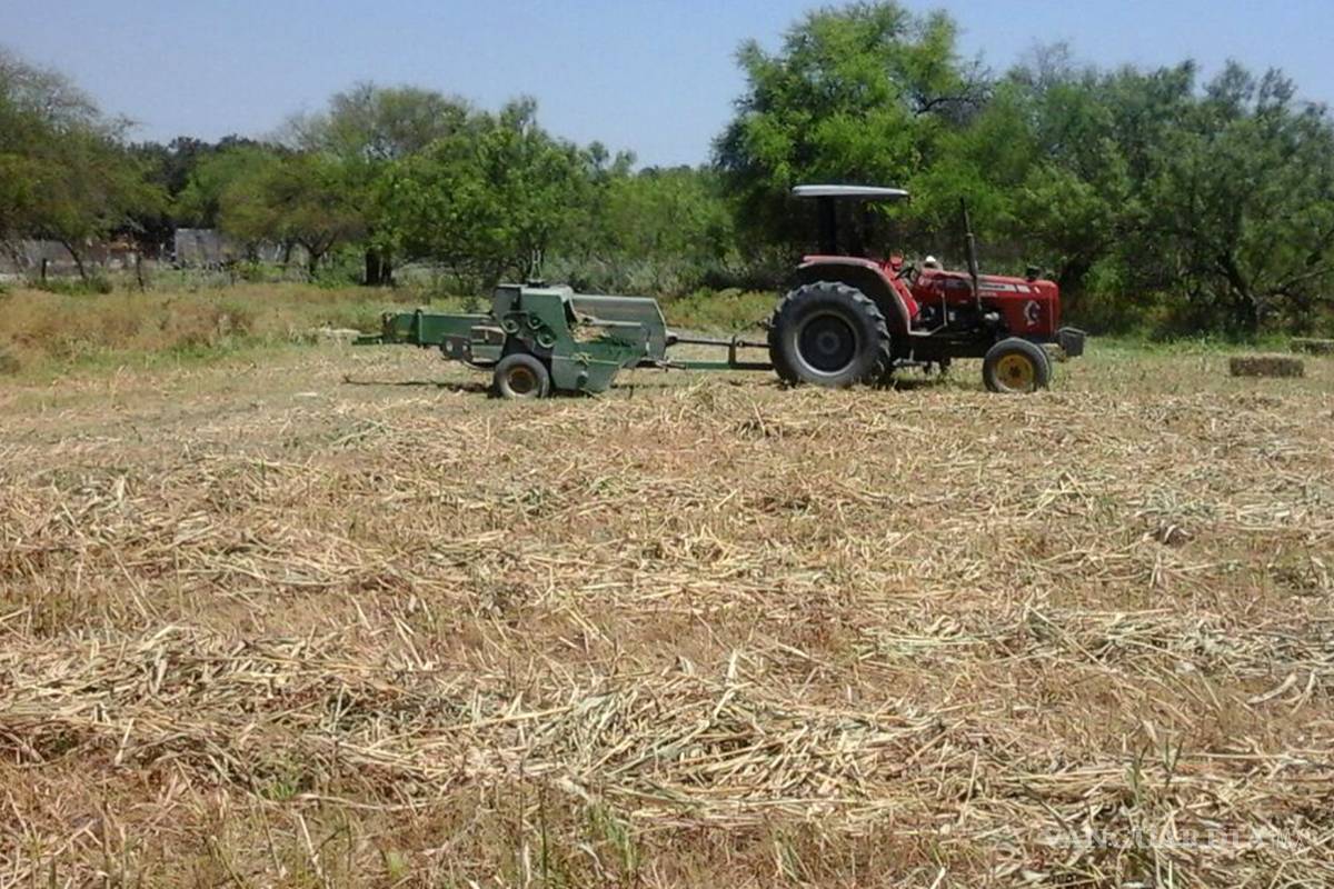 Amplían plazo para presentar proyectos productivos en Nava