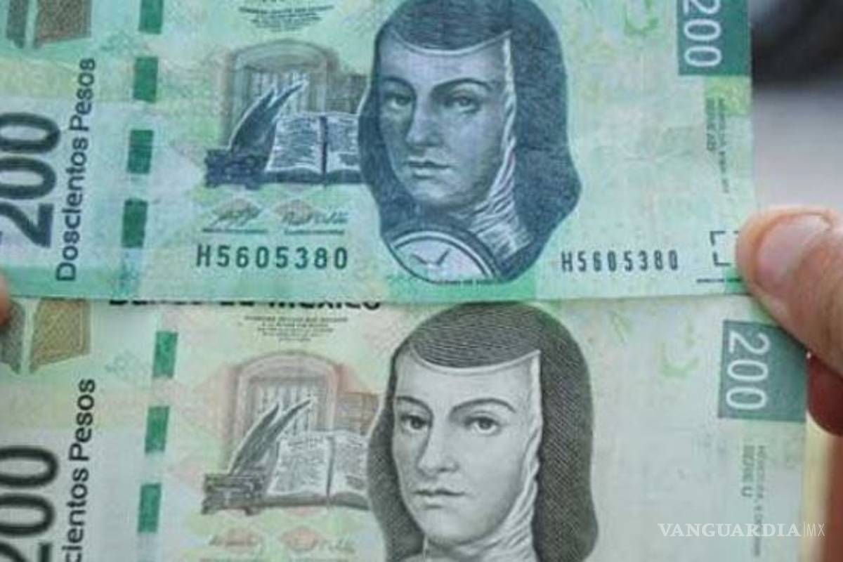 ¿Qué hacer si tienes un billete falso?