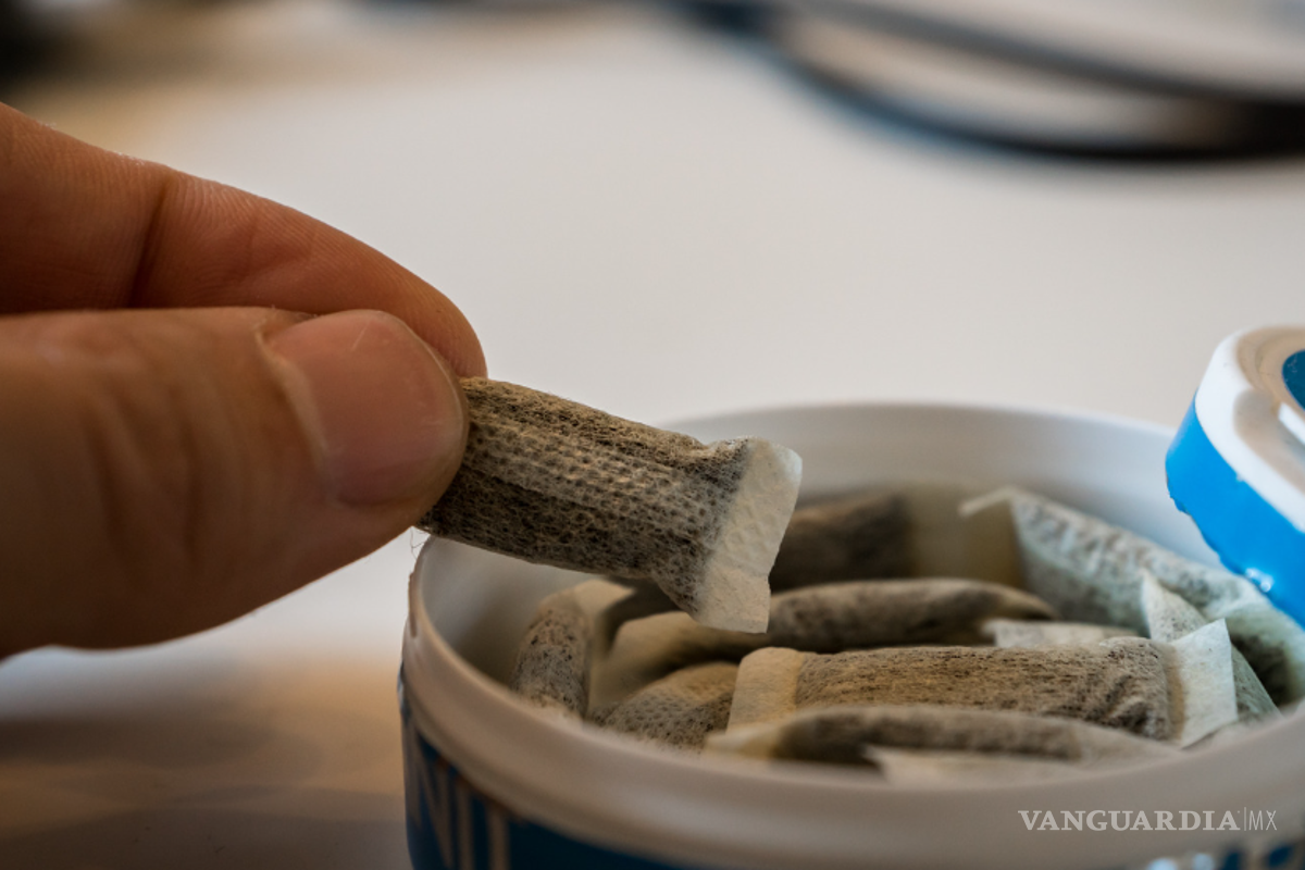 Ya venden en Saltillo ‘snus’, paquetes de nicotina para las encías prohibidos en Europa